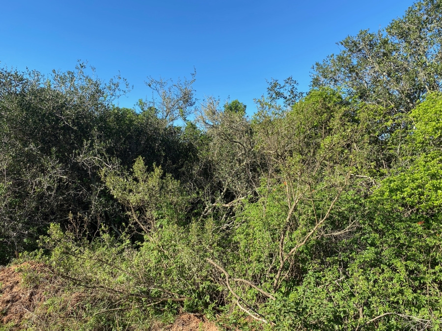 0 Bedroom Property for Sale in Bathurst Eastern Cape